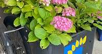 Tag des offenen Garten 2025 v3
