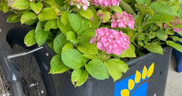 Tag des offenen Garten 2025 v3