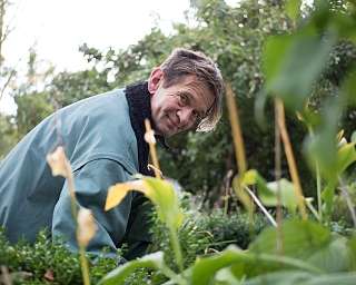 im Garten arbeiten